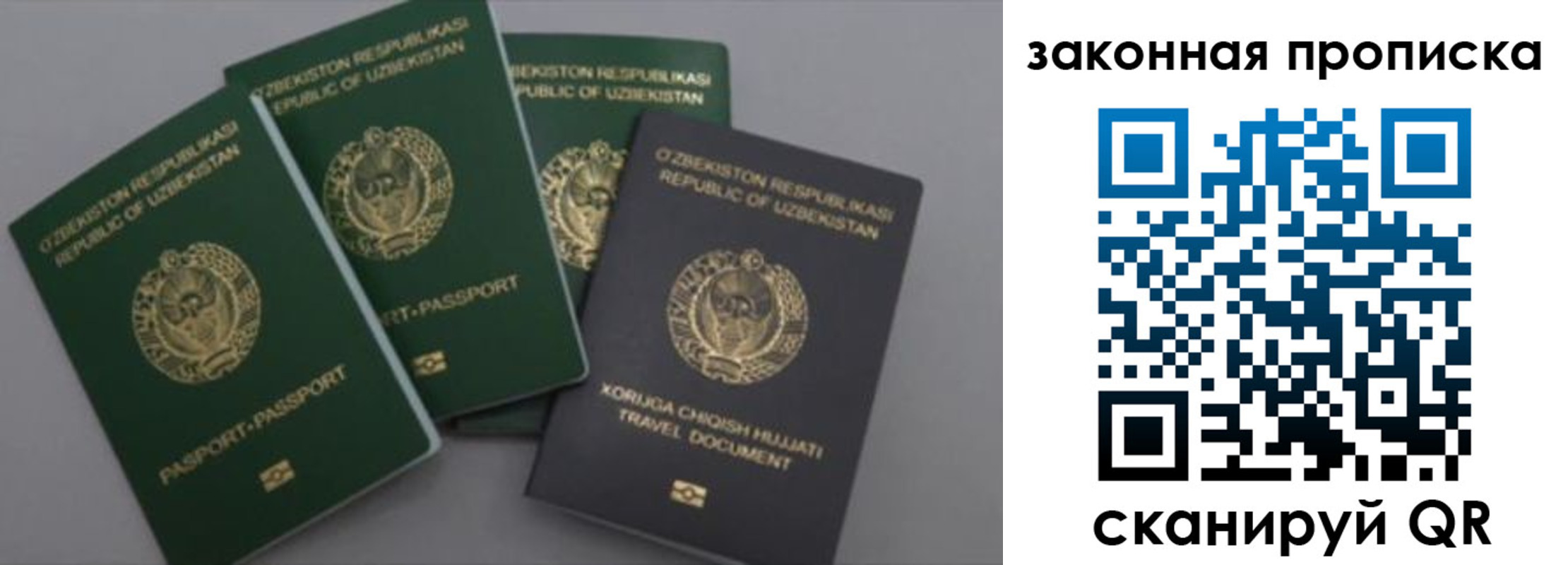временная регистрация для школы в Лыткарино